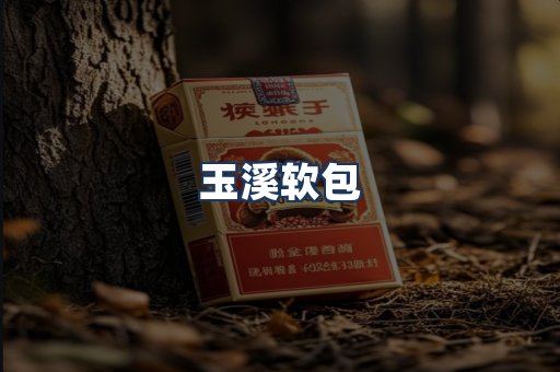 玉溪软包